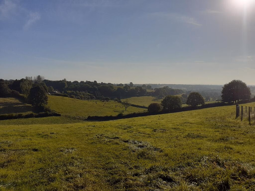 Farm land for sale - Image 2