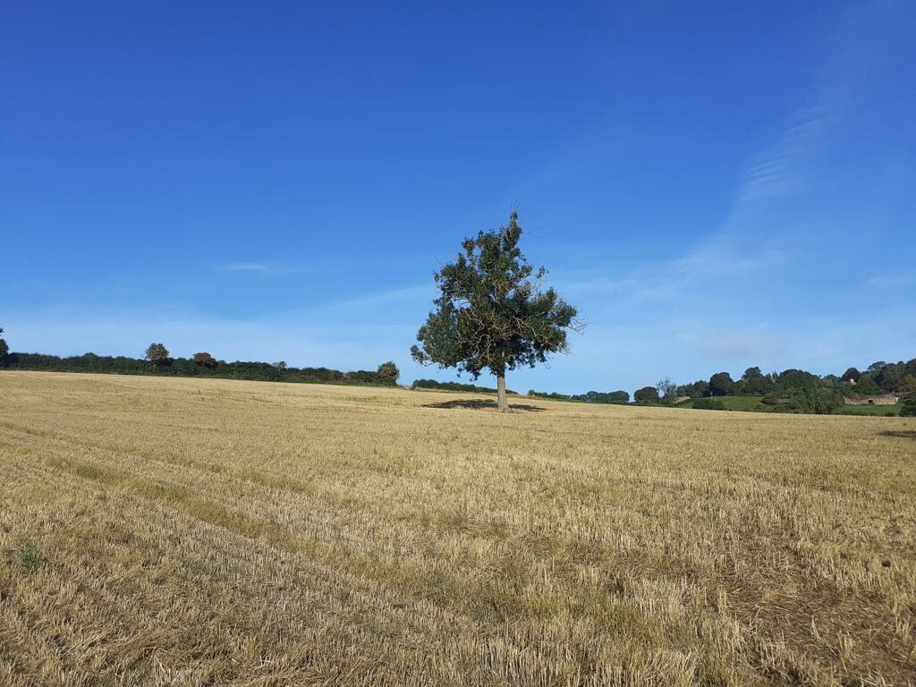 Farm land for sale - Image 5