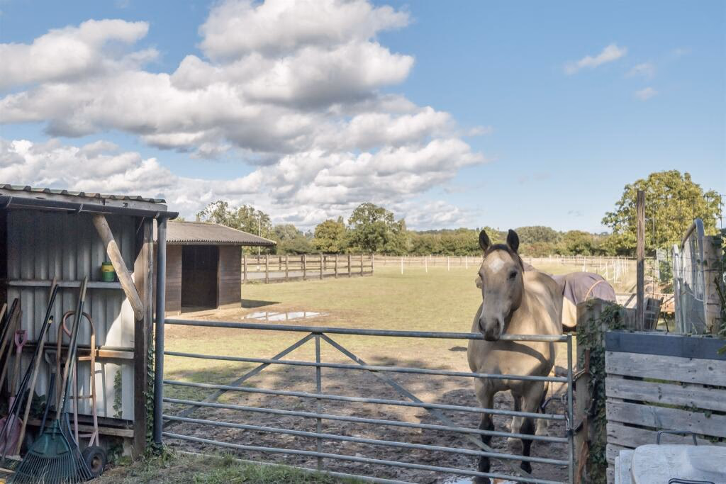 Land for sale - Image 3