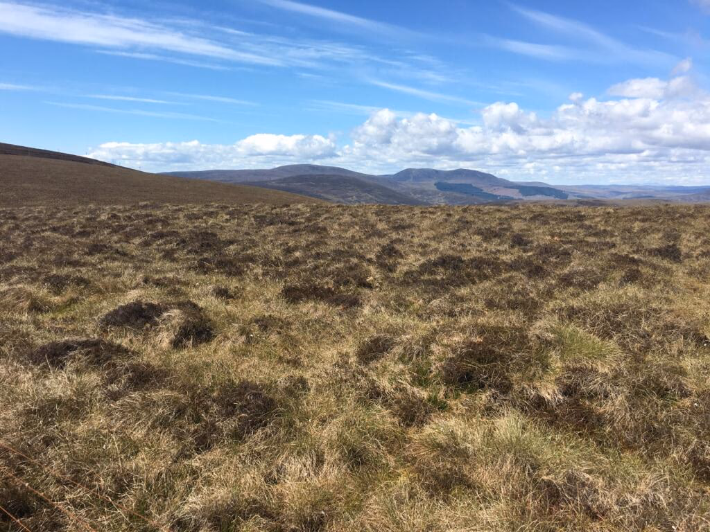 Land for sale - Image 5