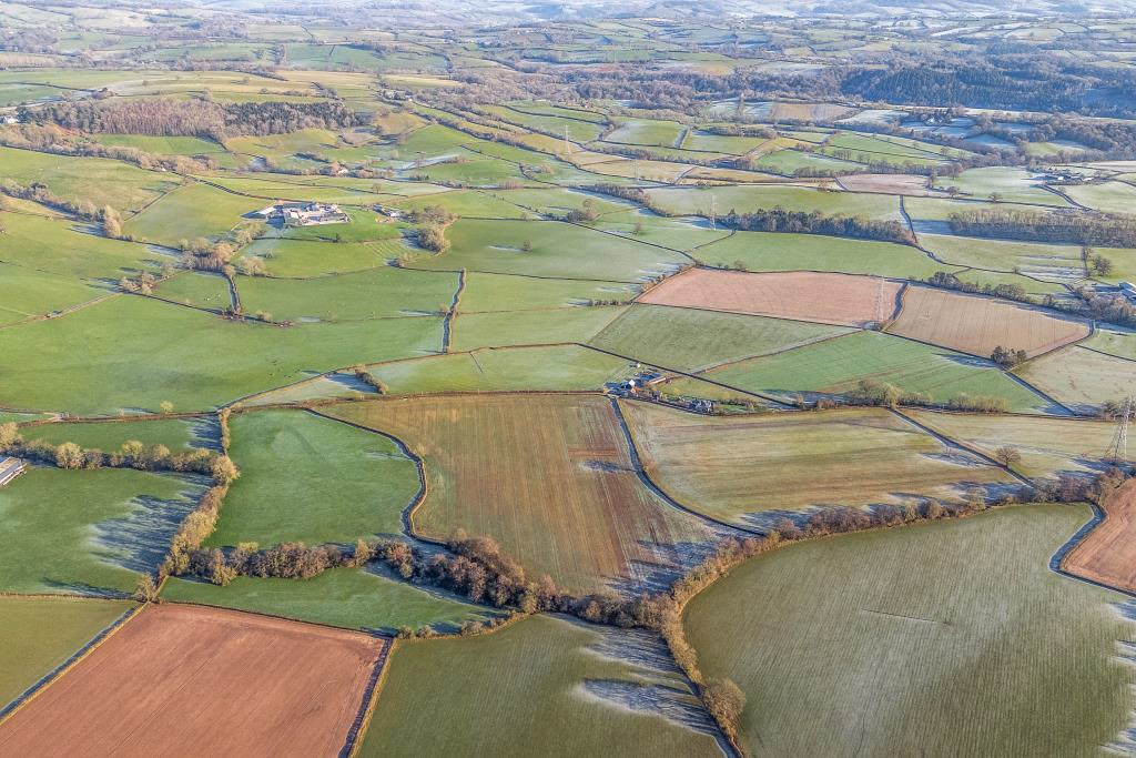 Land for sale - Image 2