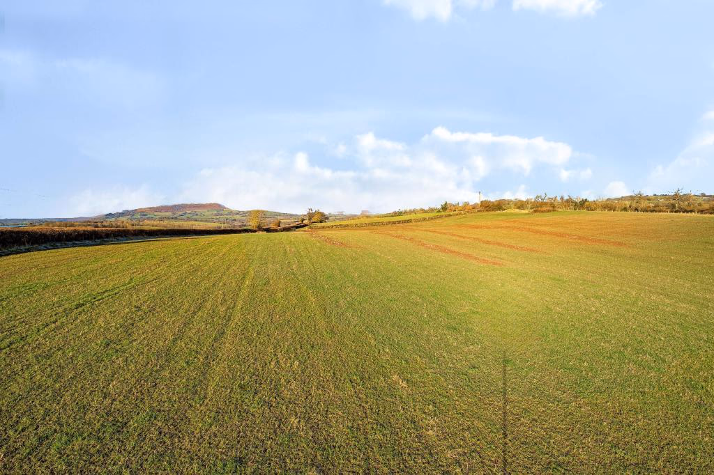 Land for sale - Image 3