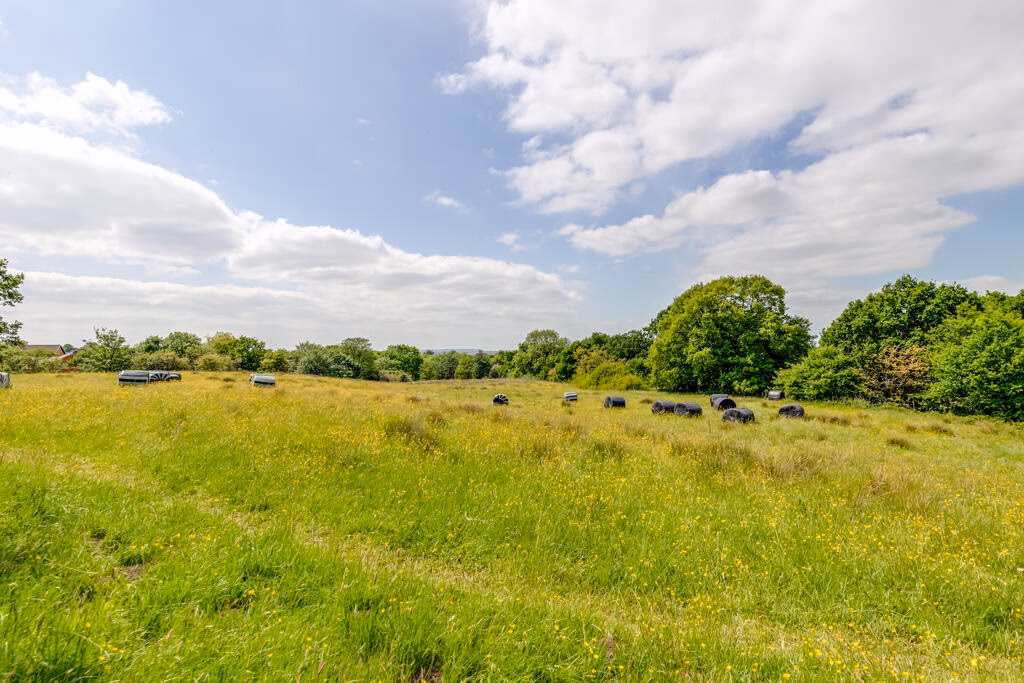 Land for sale - Image 4