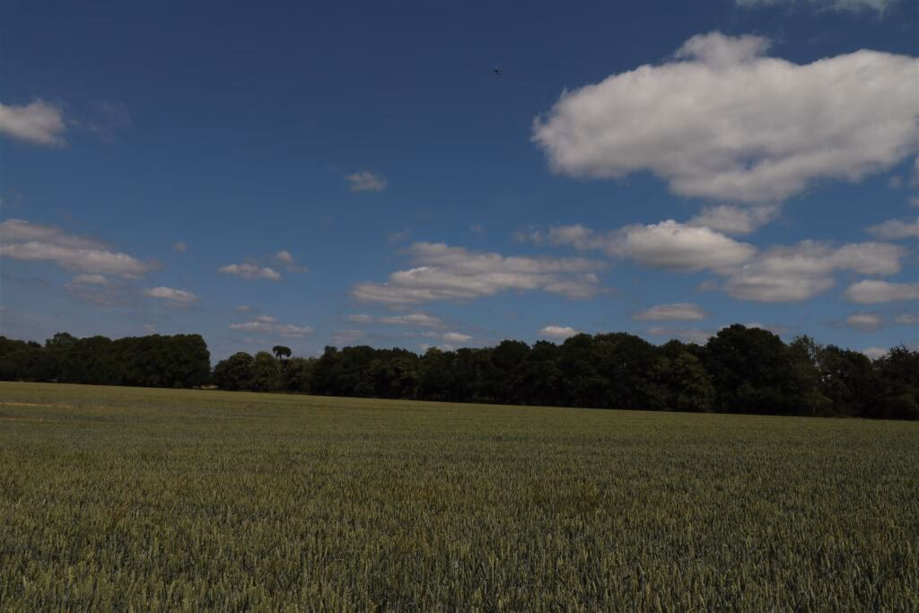 Land for sale - Image 3