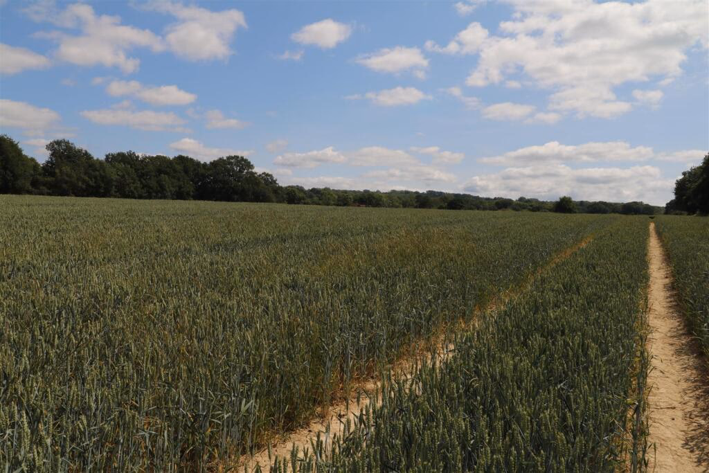 Land for sale - Image 4