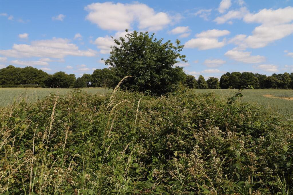 Land for sale - Image 5