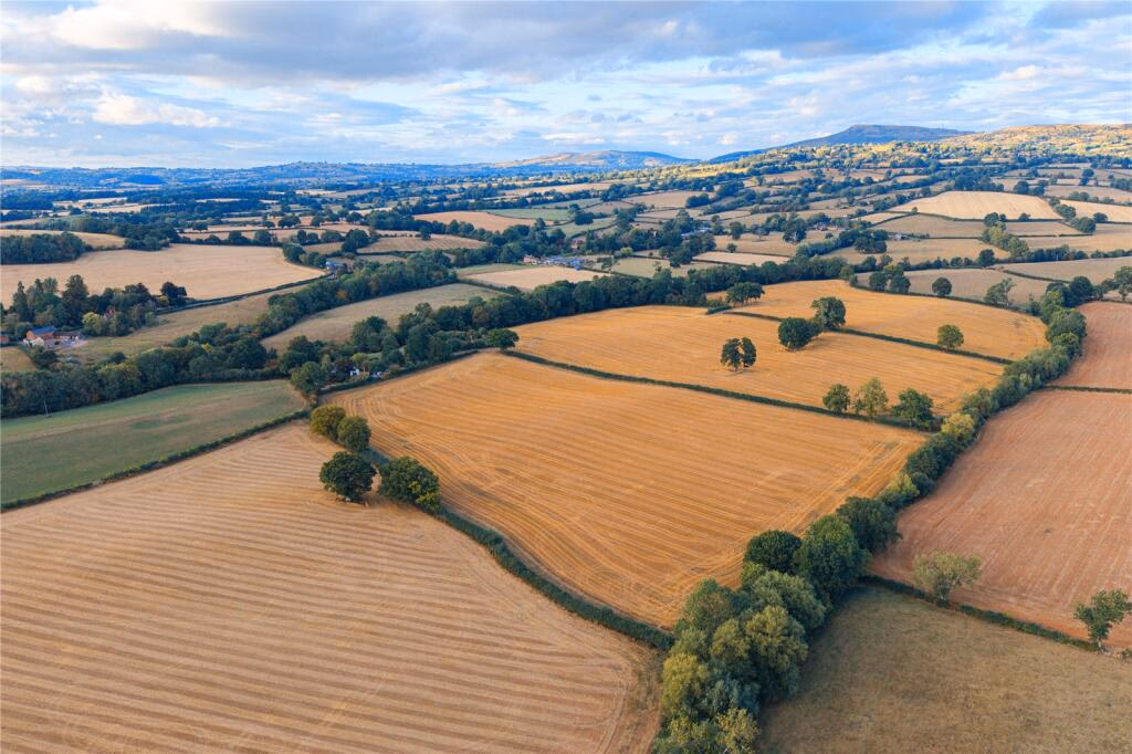 Farm land for sale - Image 4