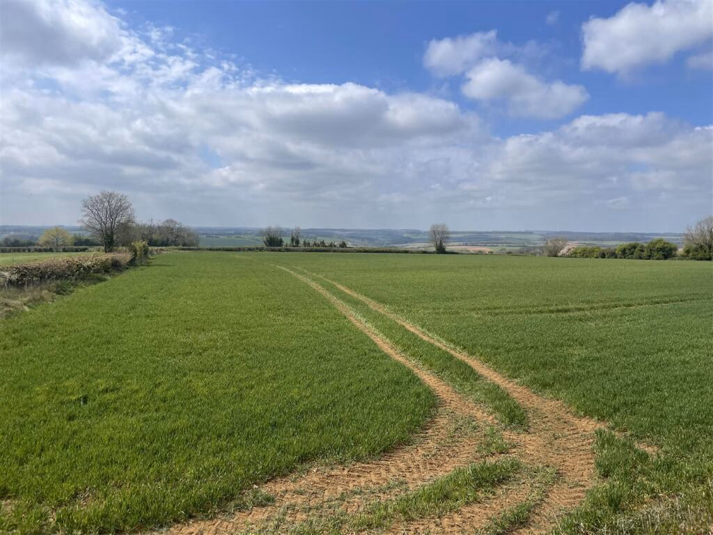 Plot for sale - Image 4