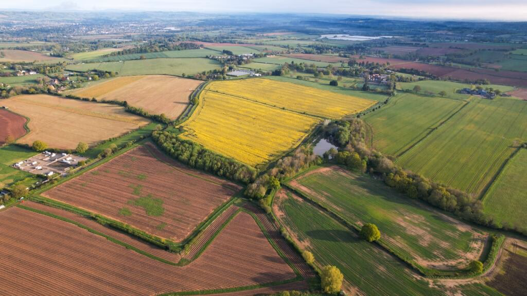 Land for sale - Image 2