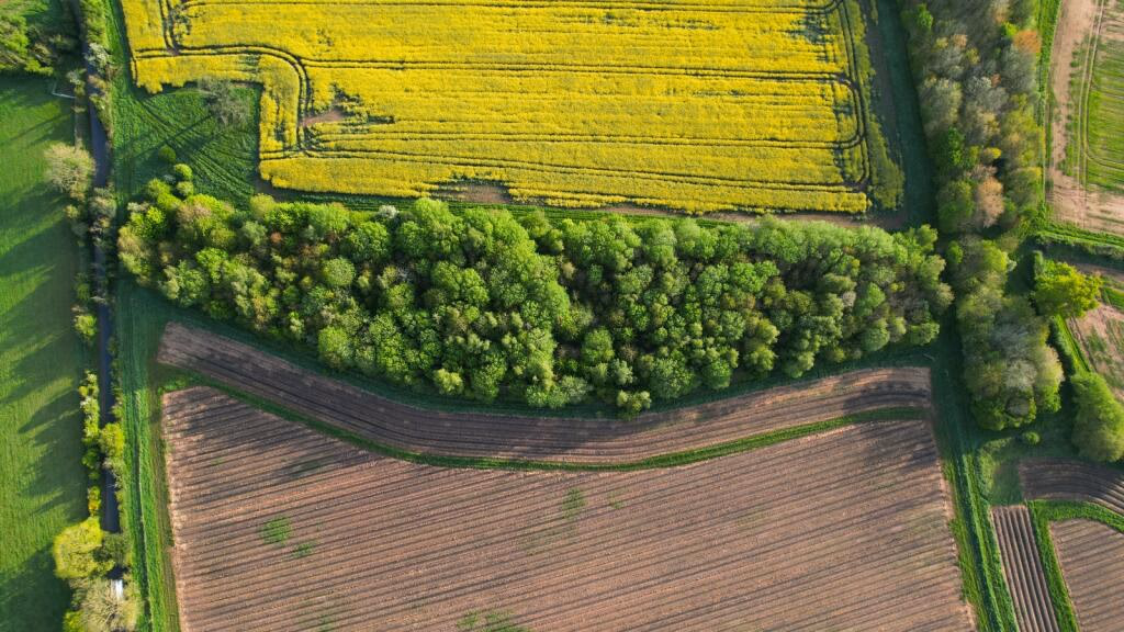 Land for sale - Image 4