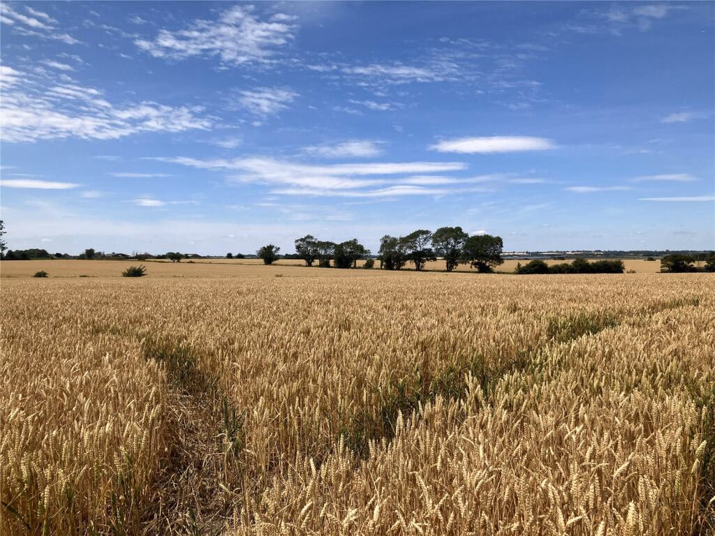 Land for sale - Image 1