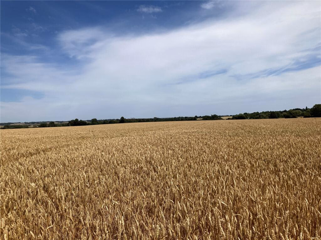 Land for sale - Image 2