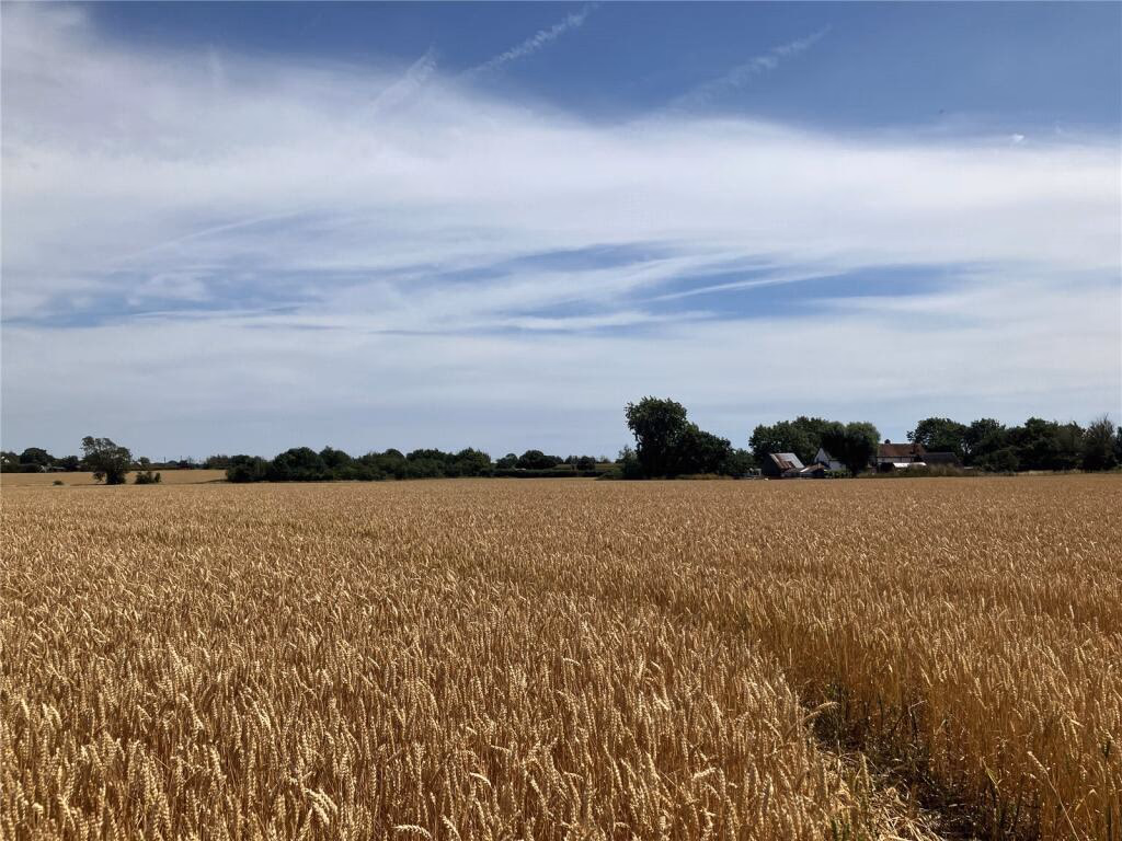 Land for sale - Image 3