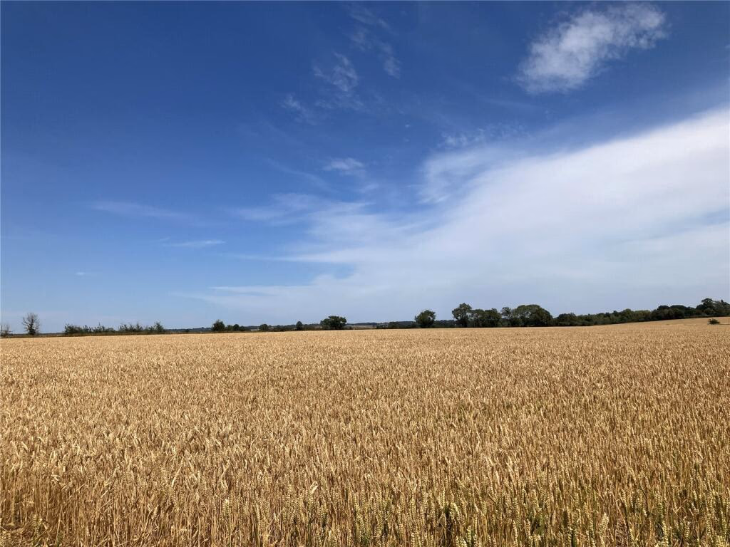 Land for sale - Image 4