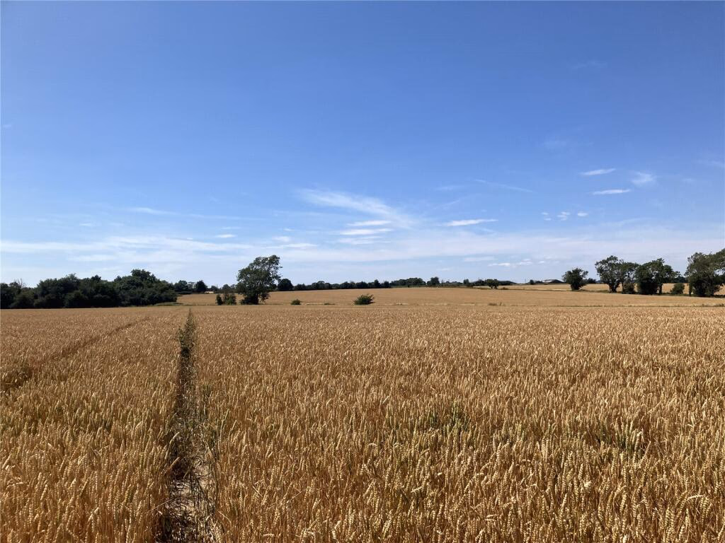 Land for sale - Image 5