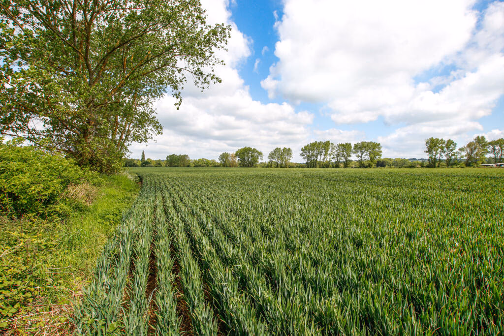 Farm land for sale - Image 1