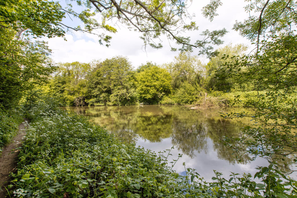 Farm land for sale - Image 2