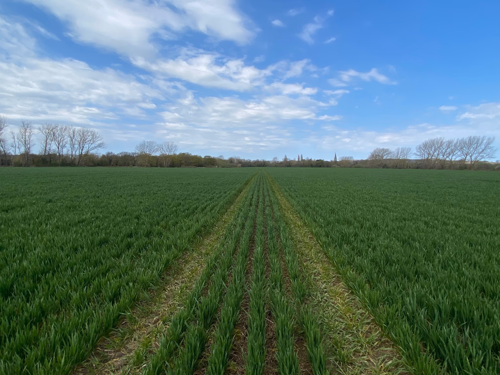 Farm land for sale - Image 5