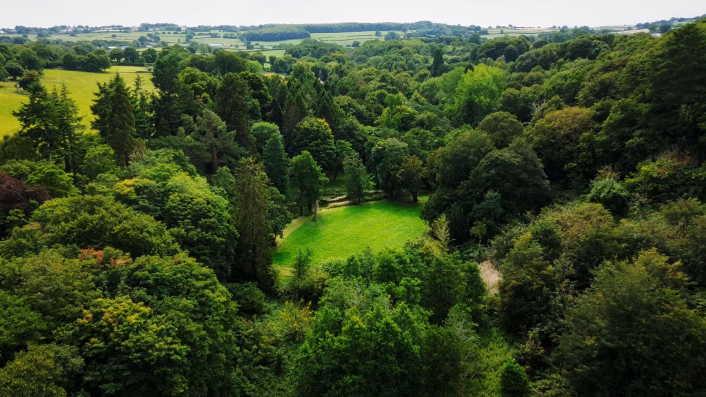 Land for sale - Image 1