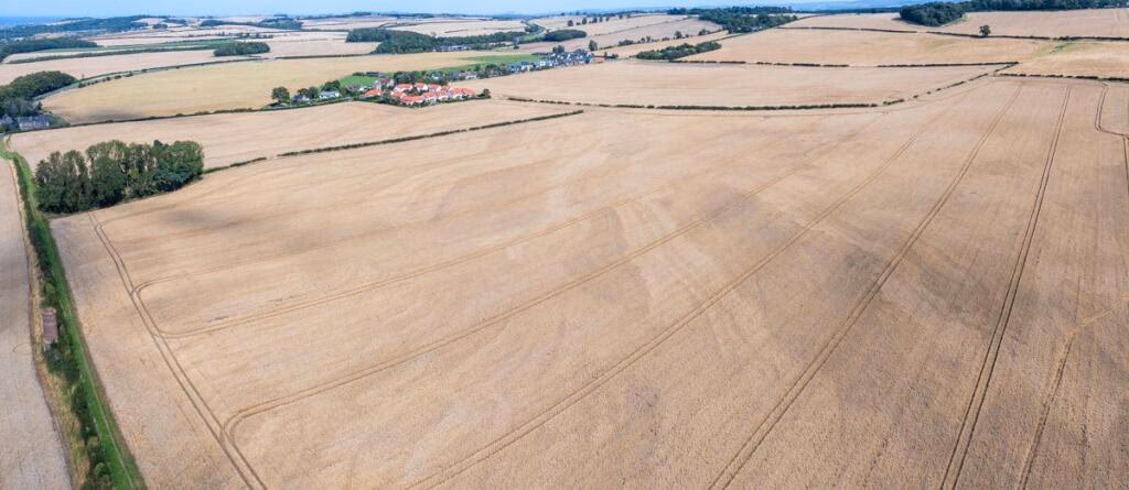 Land for sale - Image 2