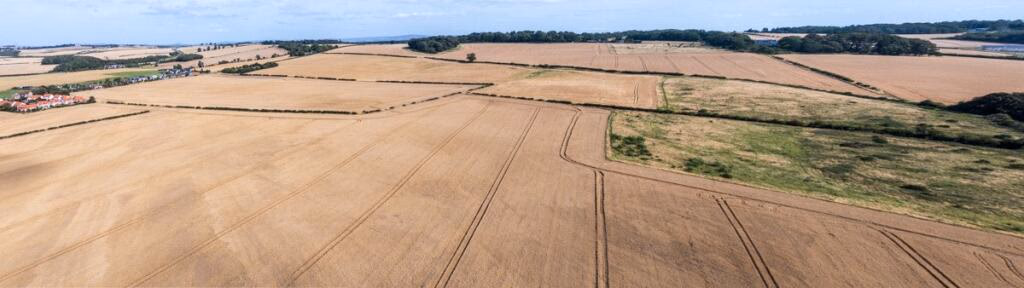 Land for sale - Image 3