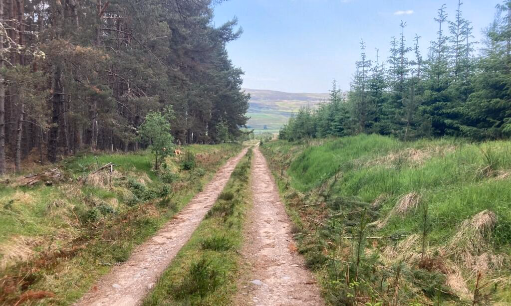 Land for sale - Image 1