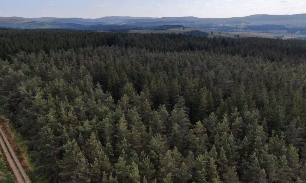 Land for sale - Image 3