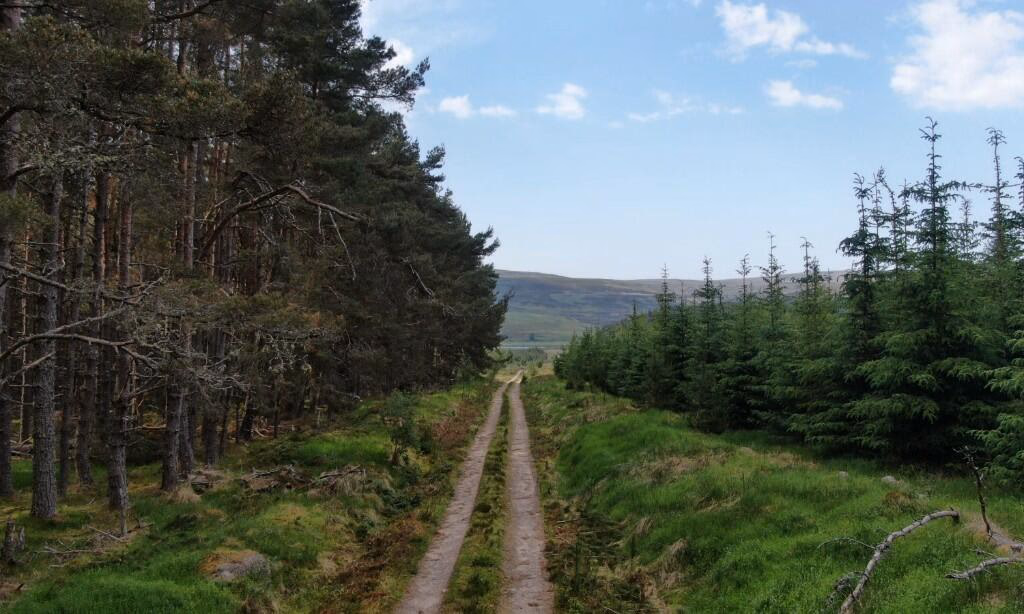 Land for sale - Image 4