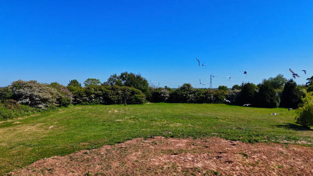 Land for sale - Image 4