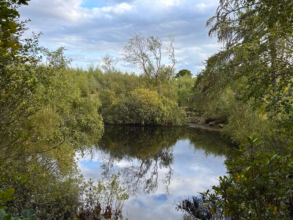 Land for sale - Image 4