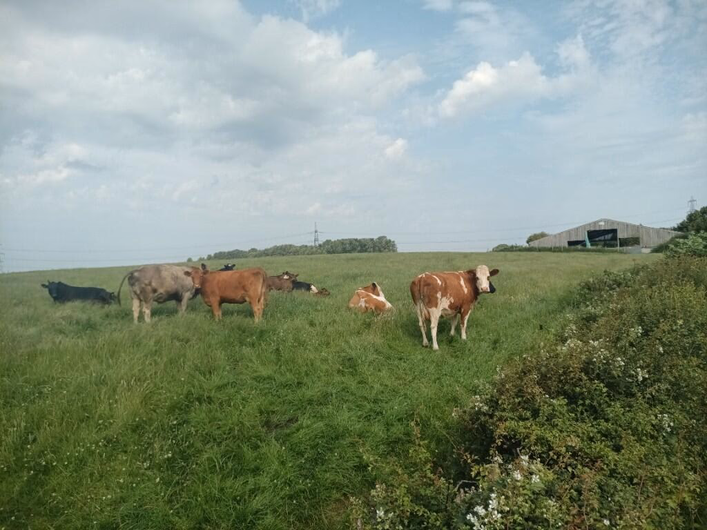 Land for sale - Image 5