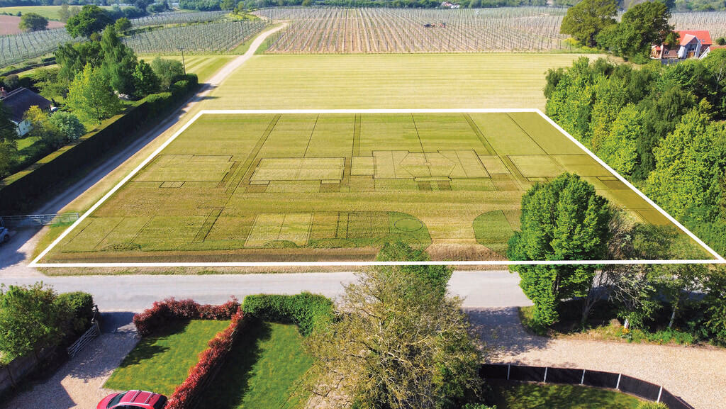 Land for sale - Image 2