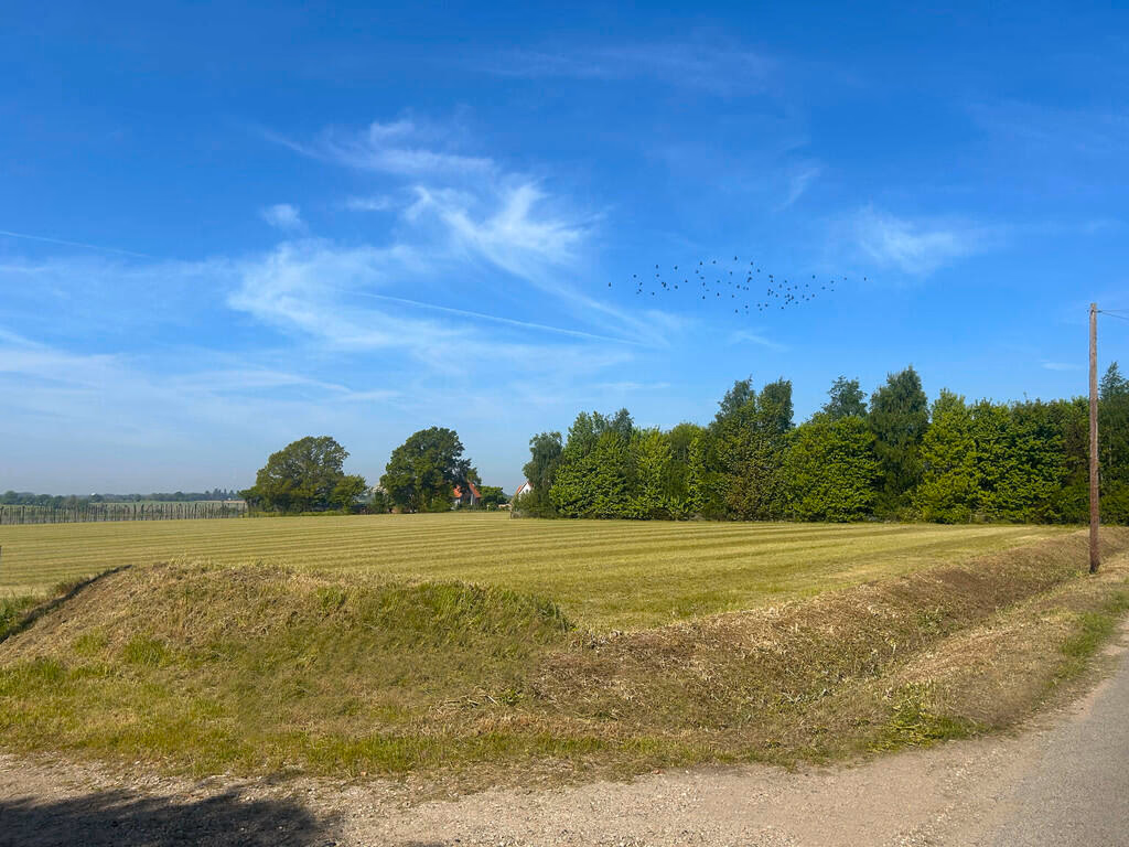 Land for sale - Image 4