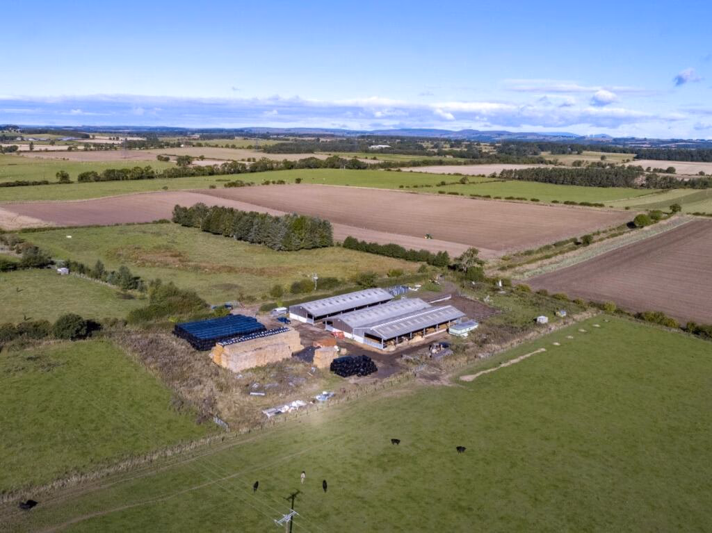 Land for sale - Image 1