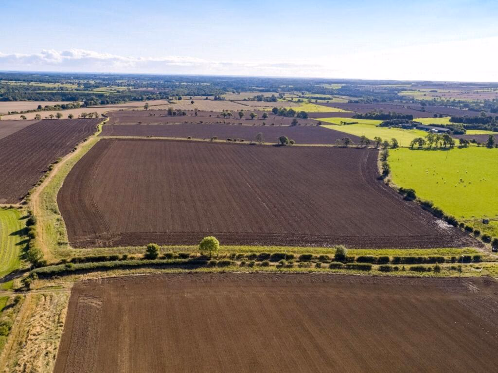 Land for sale - Image 4