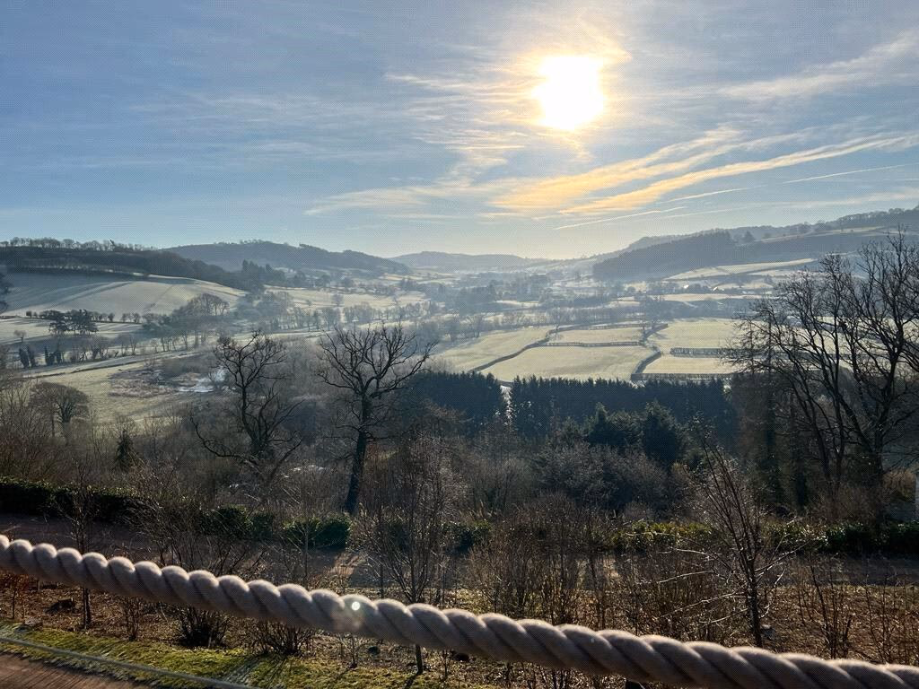 Land for sale - Image 3