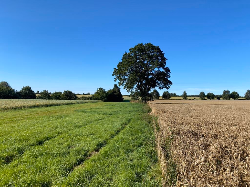 Farm land for sale - Image 2