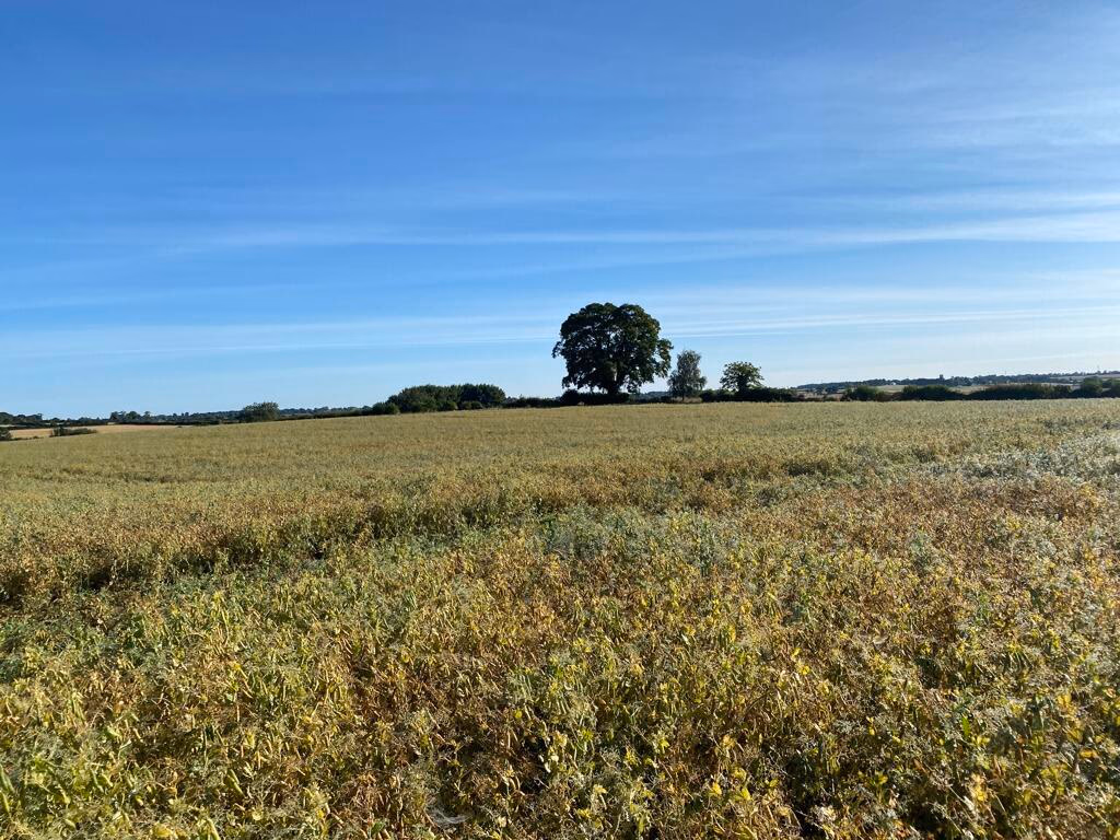 Farm land for sale - Image 3