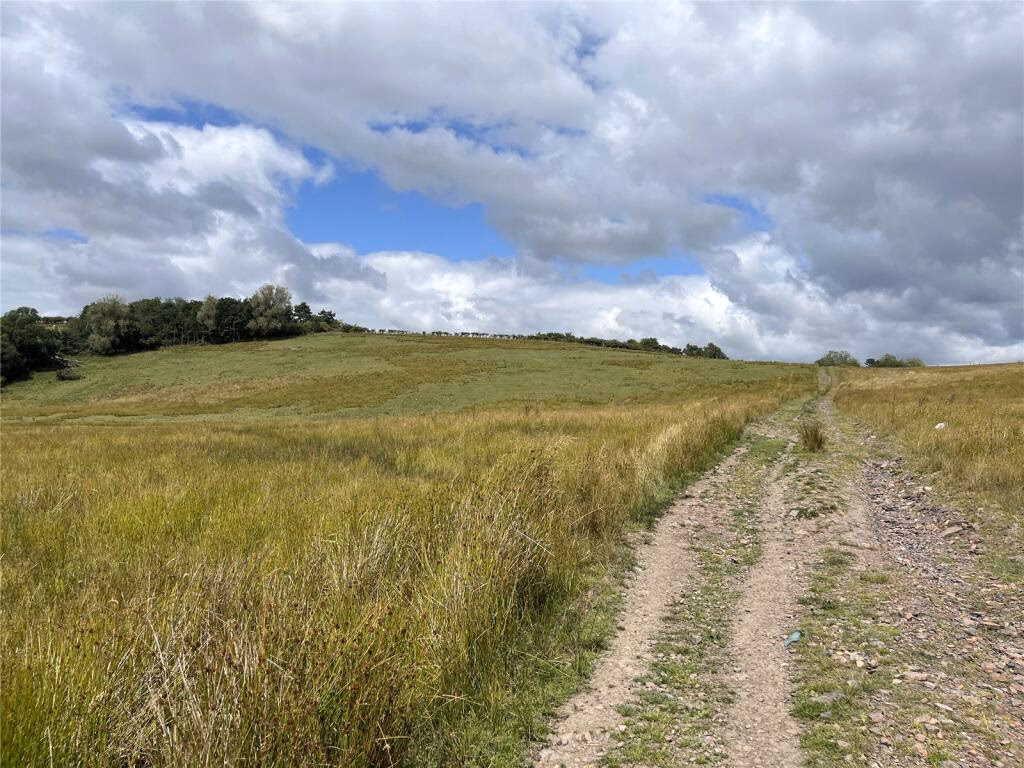 Land for sale - Image 1