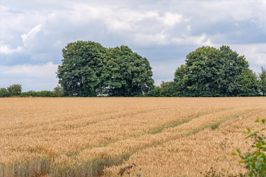 Land for sale - Image 1