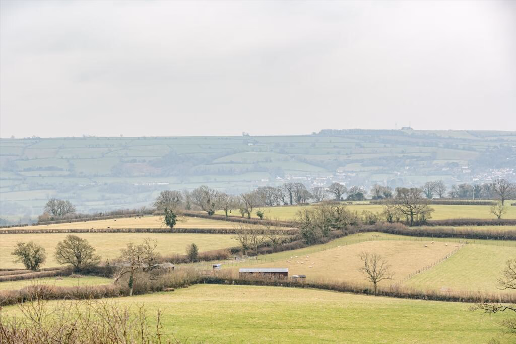 Plot for sale - Image 4