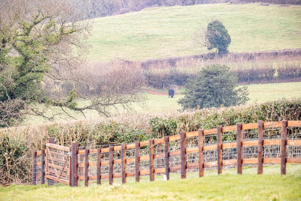 Plot for sale - Image 5