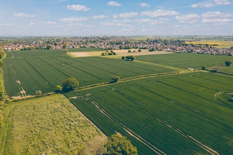 Farm land for sale - Image 4