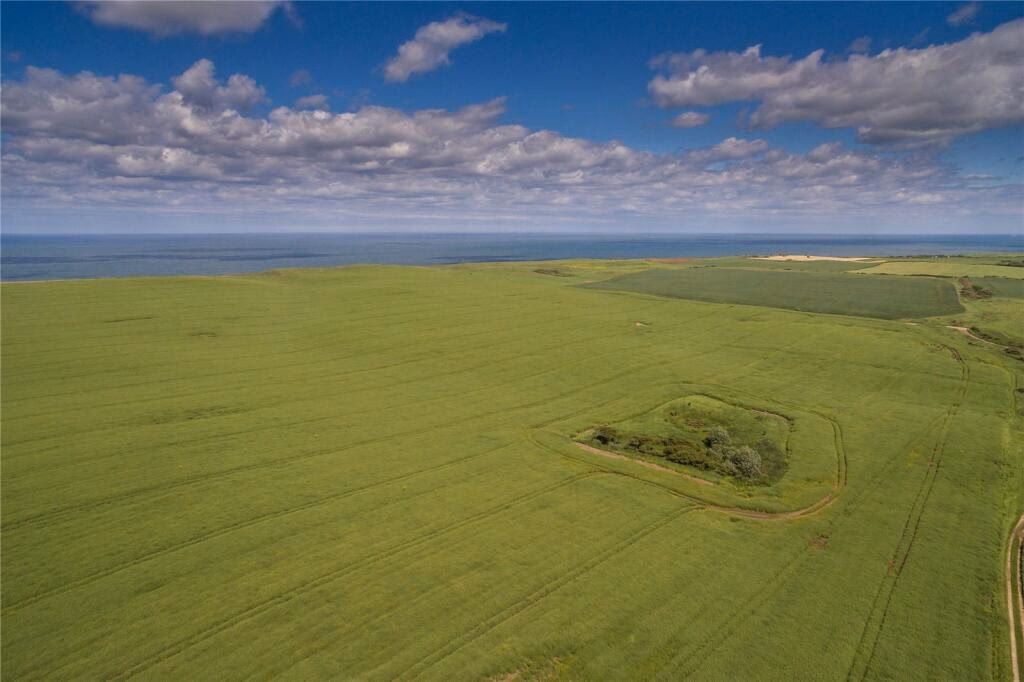 Land for sale - Image 2