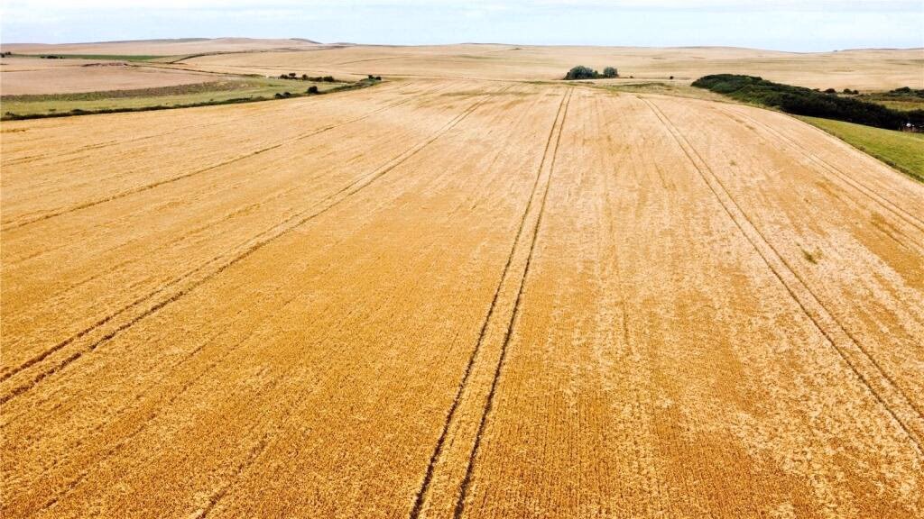 Land for sale - Image 3