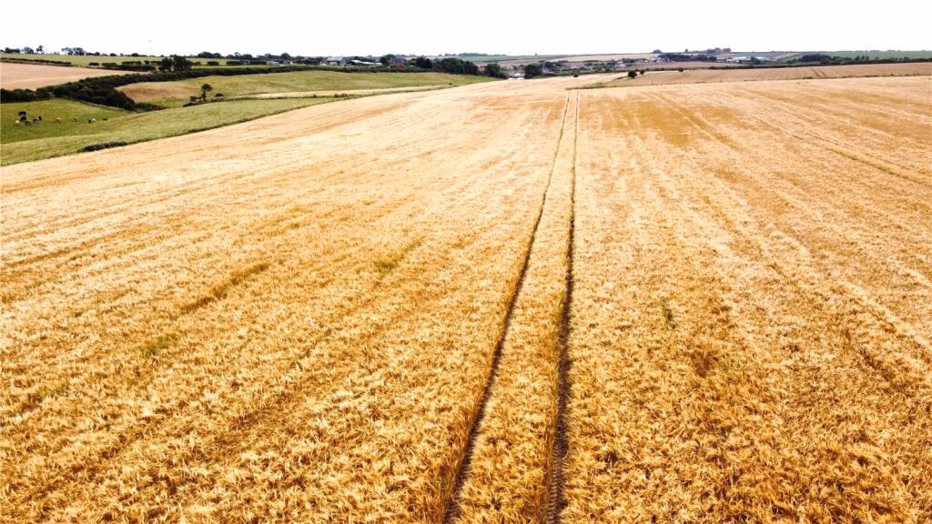 Land for sale - Image 4