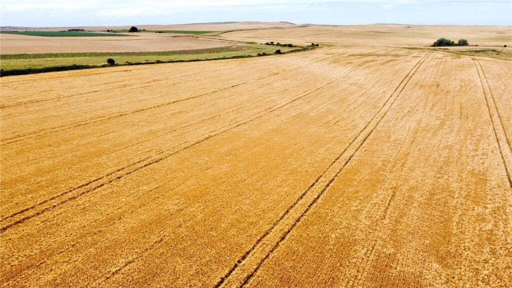 Land for sale - Image 5