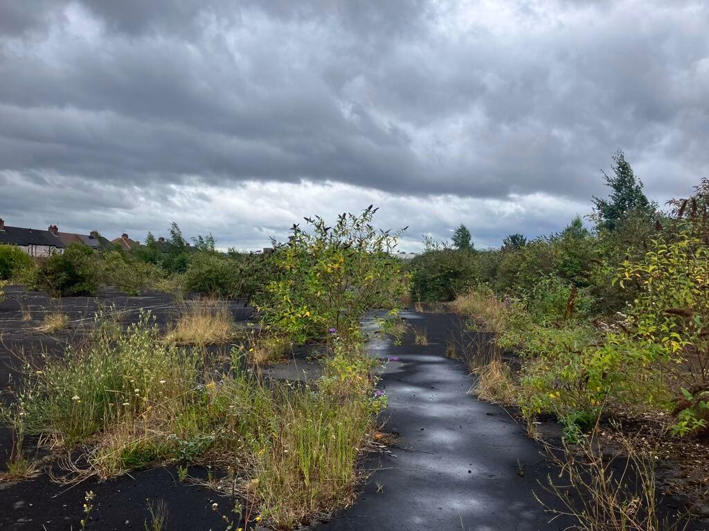 Land for sale - Image 5