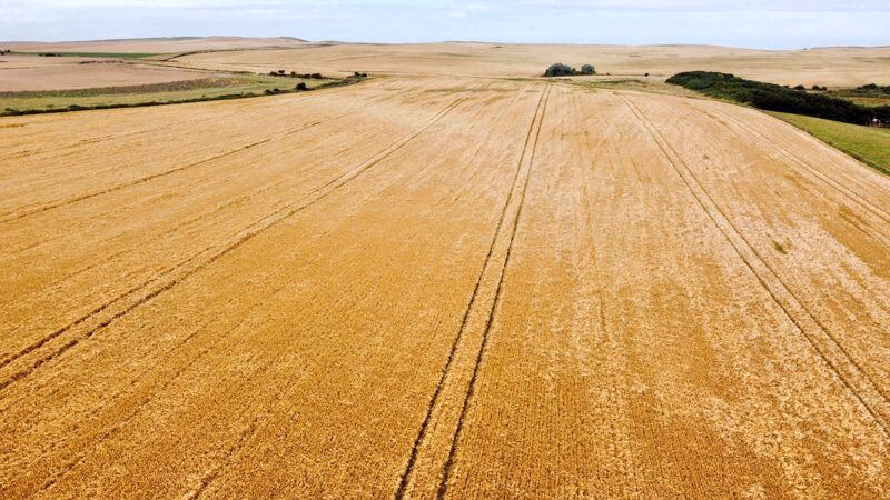 Farm land for sale - Image 1