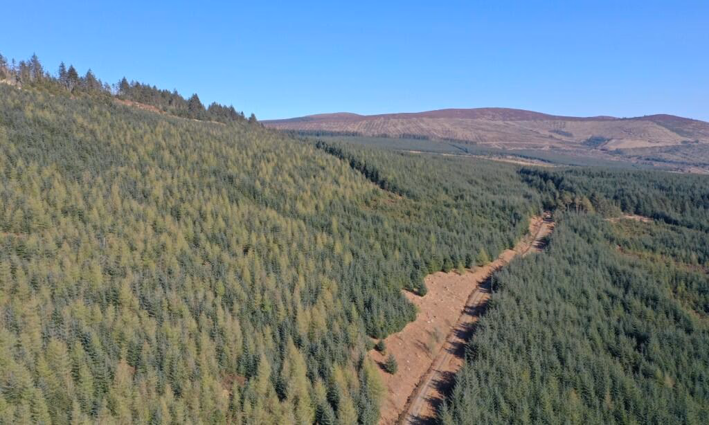 Land for sale - Image 1